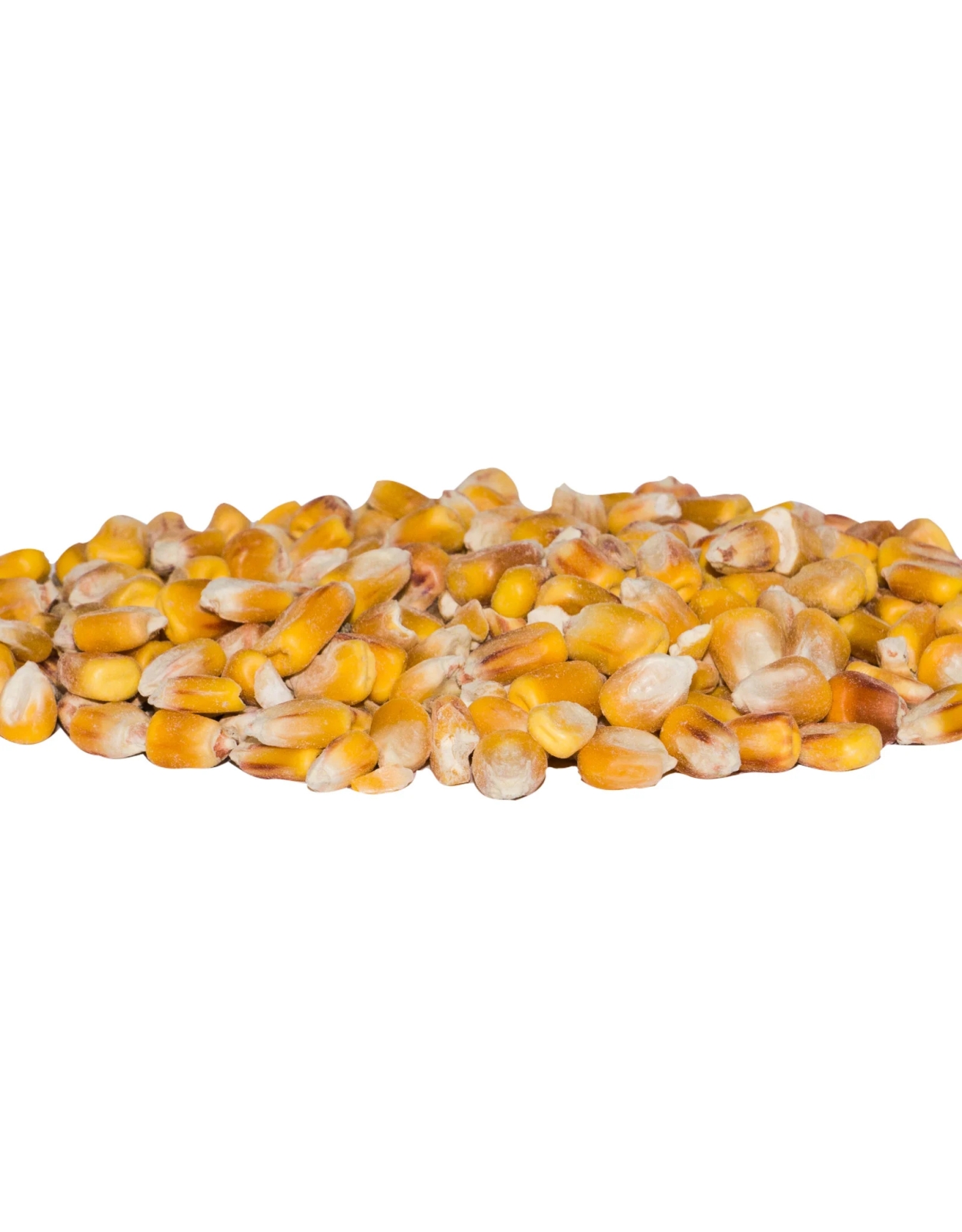Dry Particles Gele Mais 1kg